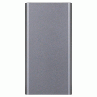 Power Bank ERGO LP-106 TYPE-C 10000 mAh Grey