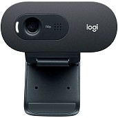 Веб-камера Logitech C505 HD (960-001372)