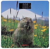 Підлогові ваги Ardesto SCB-965MATTERHORN