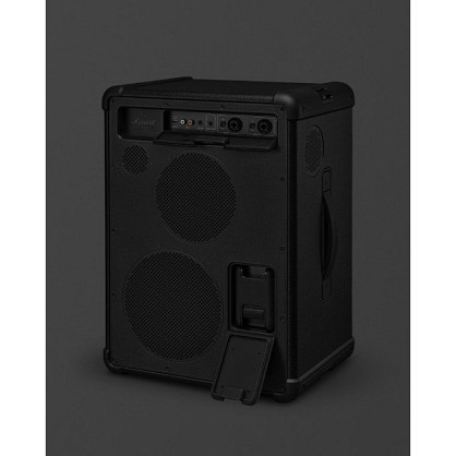 speaker-marshall-bromley-450-rear-interface-ports_007de