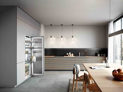 product-Vstraivaemiy-odnokamerniy-kholodilnik-Liebherr-IRBPci-5170-Peak_893502cc3ee21c2e22f05846cee24e78