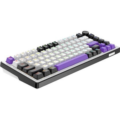 17590069