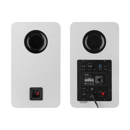 R40BT w 5_500x0_70e