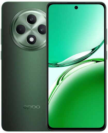 Смартфон Oppo Reno12 FS 5G CPH2637 12/512GB Olive Green