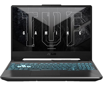 Ноутбук Asus TUF Gaming F15 FX506HM (FX506HF-HN017)